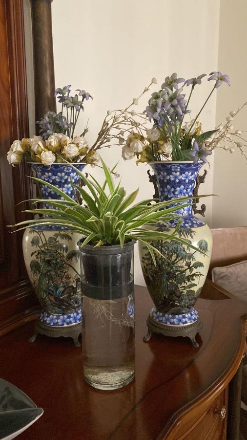 Luxurious 3 Bedroom Rustic Apartment Overlooking Huge Garden - For Families And Couples Cairo Exterior photo